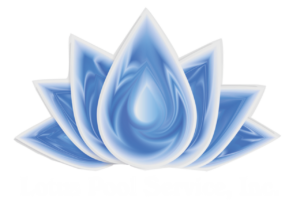 lotuspoolserviceinc.com